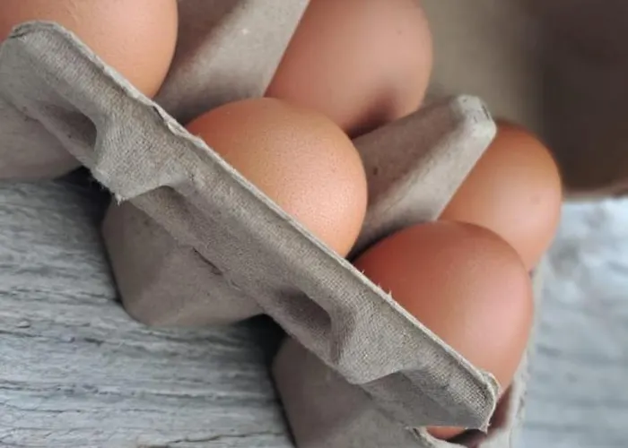 Wohlfuehlnest Naehe Brombachsee Apartament Haundorf